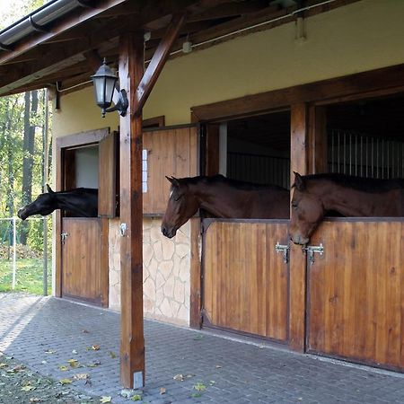 Hotel Stara Szmergielnia Bielsko-Biala Bagian luar foto